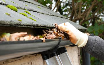 gutter cleaning Woodford