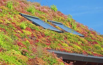 Woodford living roof systems